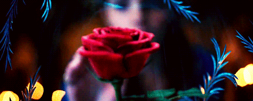 beauty-and-the-beast-disney-emma-watson-gif-favim-com-4469427