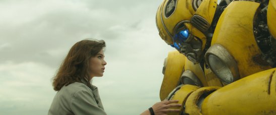 bumblebee-2