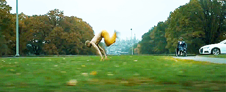 tumblr_inline_pkoswuhzt61r1kw57_500