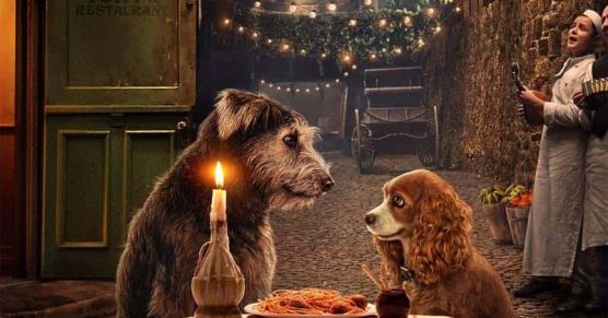 2856c820-d604-11e9-9865-d15061b8b75a_800_420